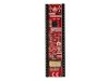 RP2350-PICO2-BB48 - Open Source Hardware Board